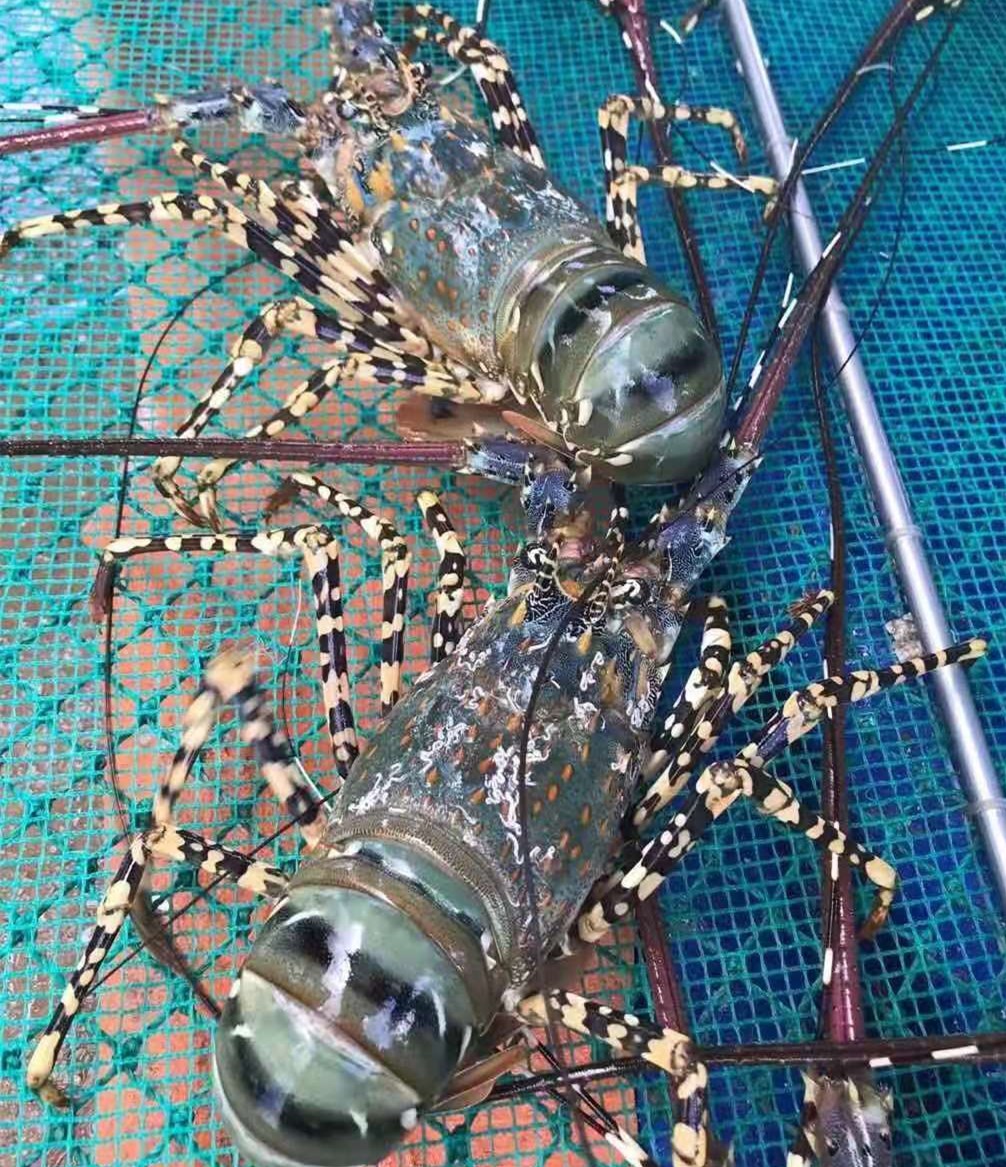 JDB电子(中国区)试玩平台-JDB电子游戏官网